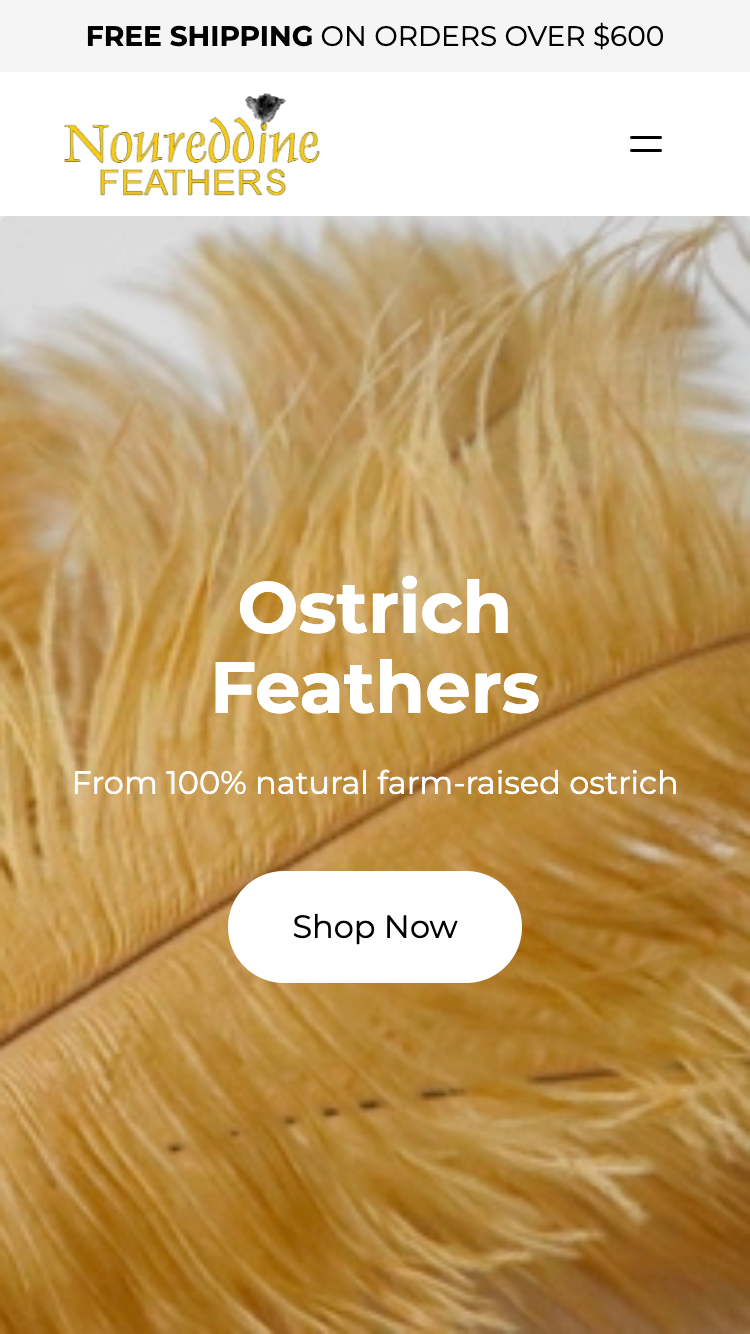 Noureddine Feathers